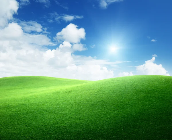 Champ d'herbe verte et ciel bleu — Photo