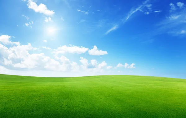 Champ d'herbe et ciel parfait — Photo