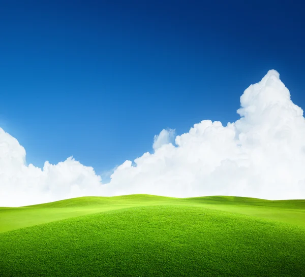 푸른 초목 과 완전 한 하늘 — 스톡 사진