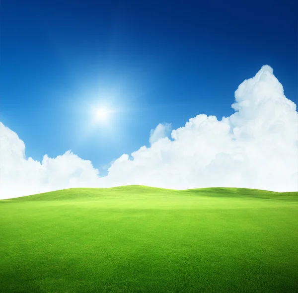 Pole trawy i doskonałe niebo — Zdjęcie stockowe
