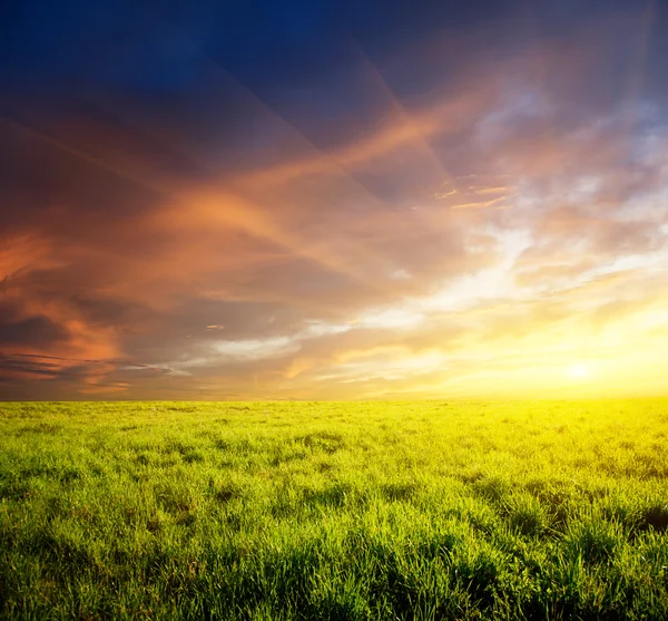 Campo d'erba e tramonto — Foto Stock