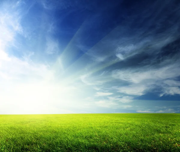 Поле весняної трави і заходу сонця — стокове фото