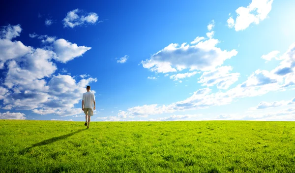 Один человек и поле весенней травы и заката — стоковое фото