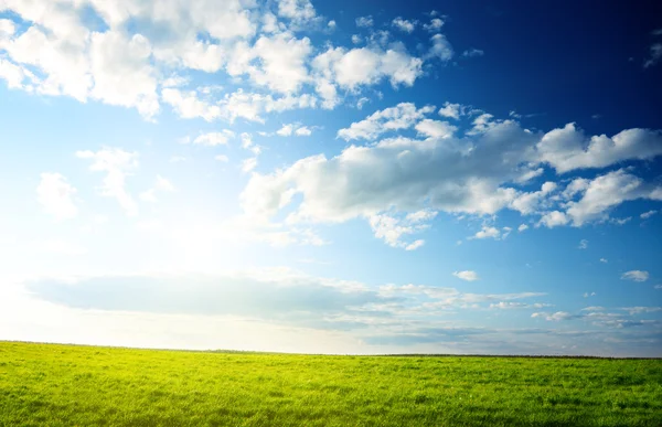 Весняна трава і захід сонця — стокове фото