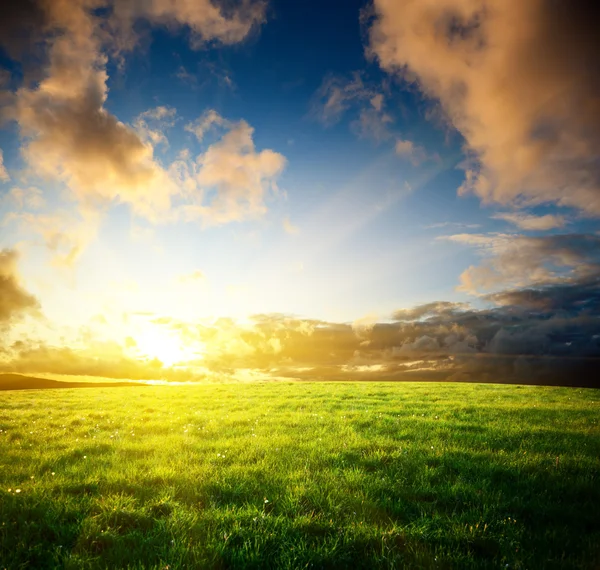 Field of spring grass and sunset — Stock Photo, Image