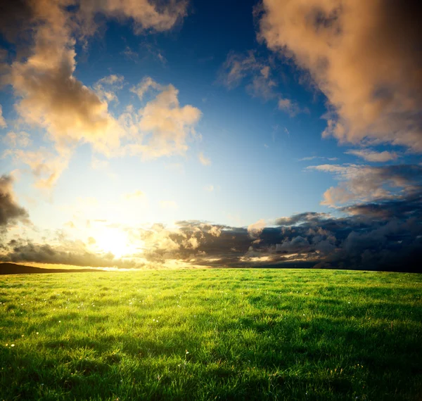 Field of spring grass and sunset — Stock Photo, Image