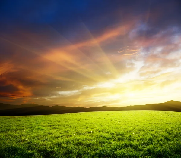Gebied van voorjaar gras en zonsondergang — Stockfoto