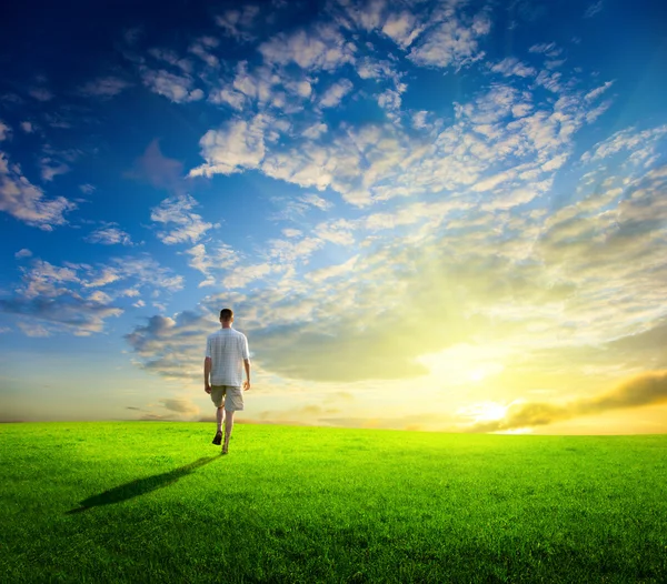 Ein Mann und ein Feld mit Frühlingsgras und Sonnenuntergang — Stockfoto
