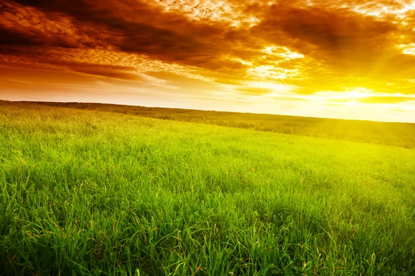 Campo de grama e pôr do sol — Fotografia de Stock