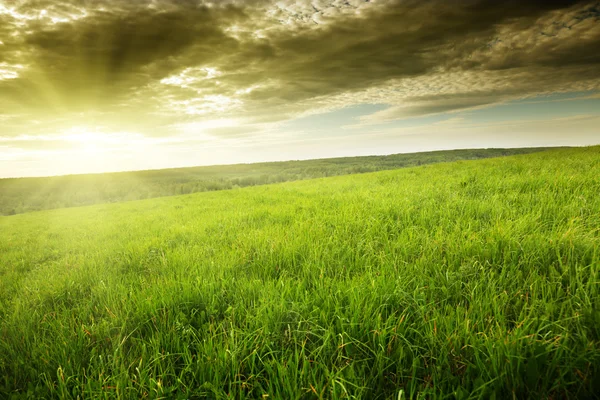 Campo di erba primaverile e tramonto — Foto Stock