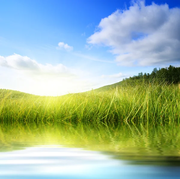 Grass and water — Stock Photo, Image
