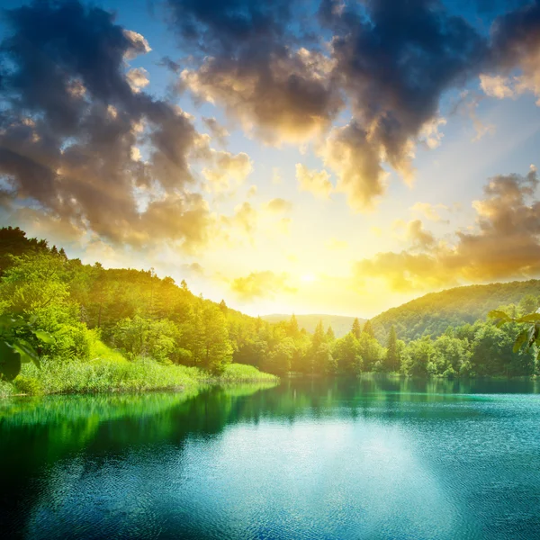 Lago de água verde na floresta — Fotografia de Stock