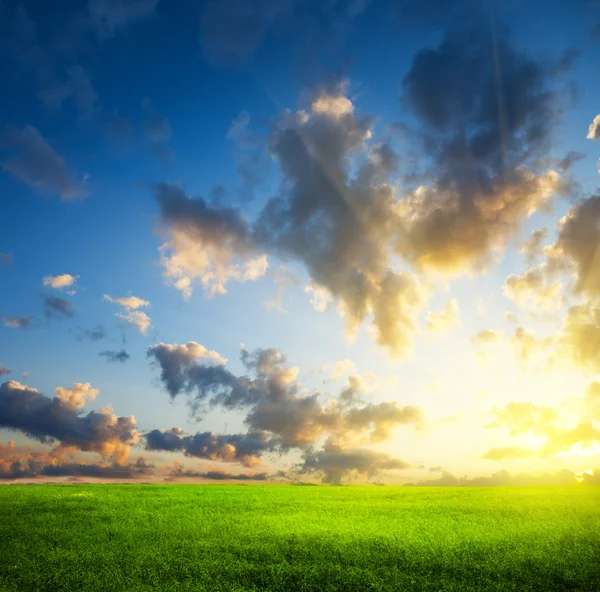 Зелене поле і захід сонця — стокове фото