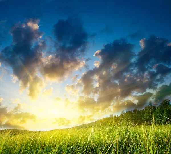 草と完璧な夕日 — ストック写真