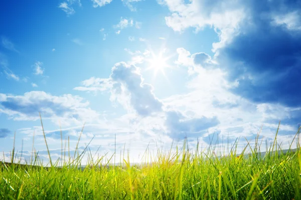 Grönt gräs och molnig himmel — Stockfoto