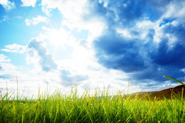 Groen gras en bewolkte lucht — Stockfoto