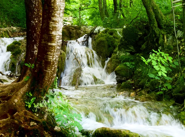 Waterfall in deep forest — Stock Photo, Image