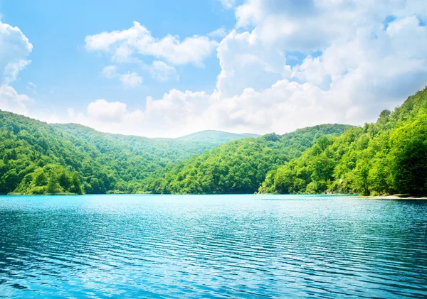 Lago nella foresta di montagna profonda — Foto Stock