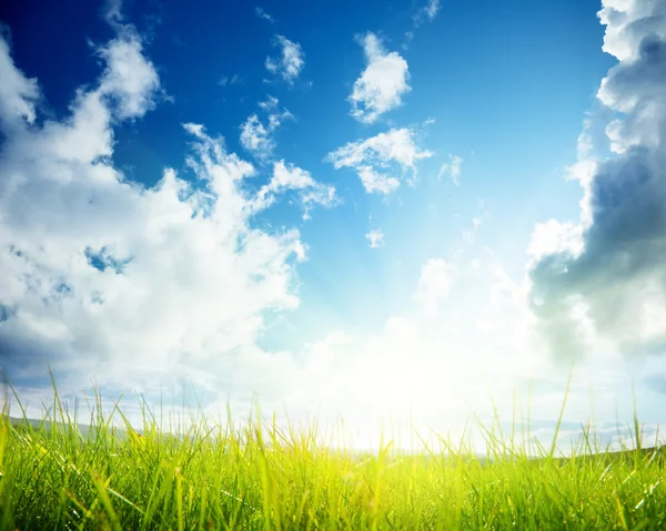 緑の草と曇天 — ストック写真