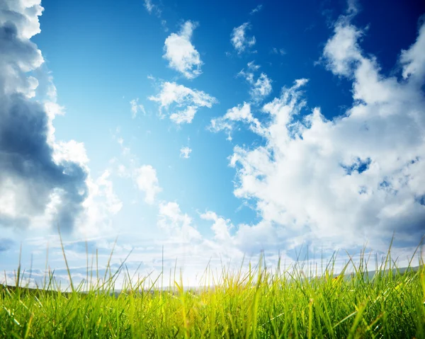 Grünes Gras und bewölkter Himmel — Stockfoto