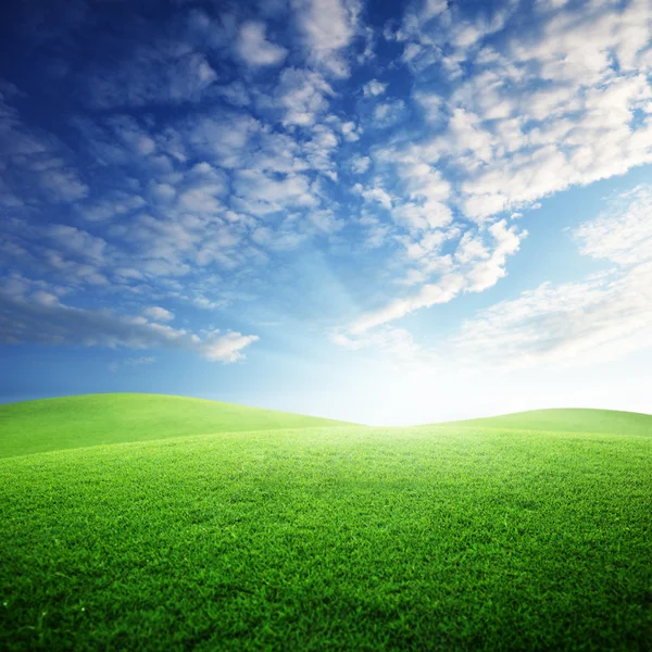 草と完璧な夕焼け空のフィールド ロイヤリティフリーのストック画像