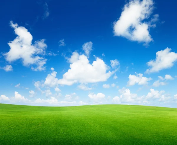 Field of grass and perfect sky Royalty Free Stock Photos