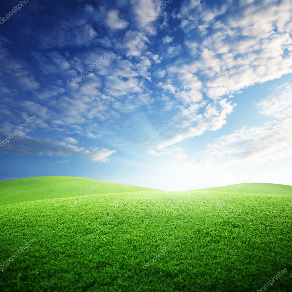 Field of grass and perfect sunset sky