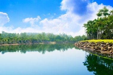 Park Tayland