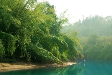 Tayland ormanında gün batımı