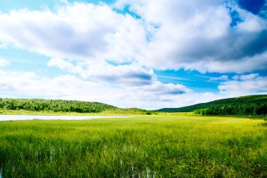 North mountain lake and tundra clipart