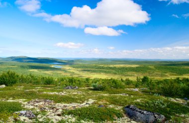 North mountain tundra and lakes clipart