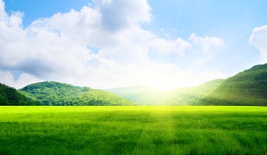 Green field and mountains clipart