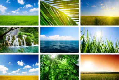 Summer lanscapes collage clipart