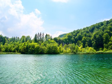 Green water lake in forest clipart