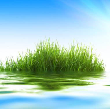 yeşil çim ve saf su