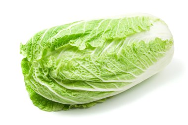 Cabbage clipart