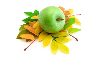 Autumn leaves of rowan-tree and green apple isolated clipart