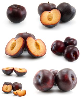 Page of plums clipart