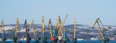 Port of Murmansk. Working cranes. It is winter. clipart