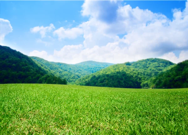 Літнє Зелене Поле Гори — стокове фото