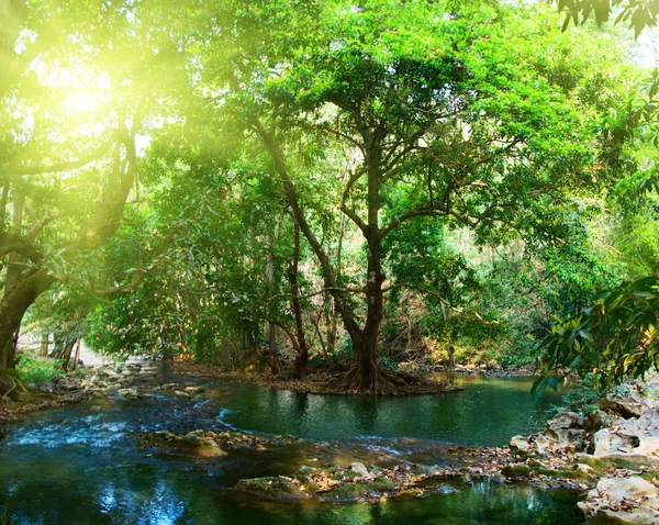 Річка Глибокому Лісі — стокове фото