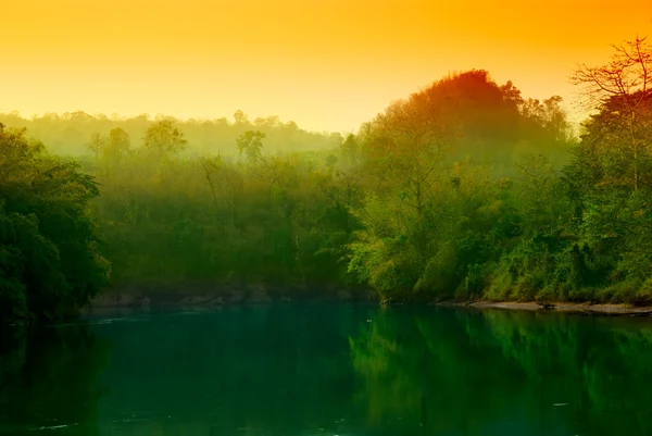 Pôr Sol Selva Tailândia — Fotografia de Stock