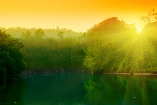 Solnedgång Djungeln Thailand — Stockfoto