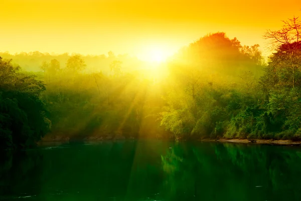 stock image Sunset in jungle of Thailand