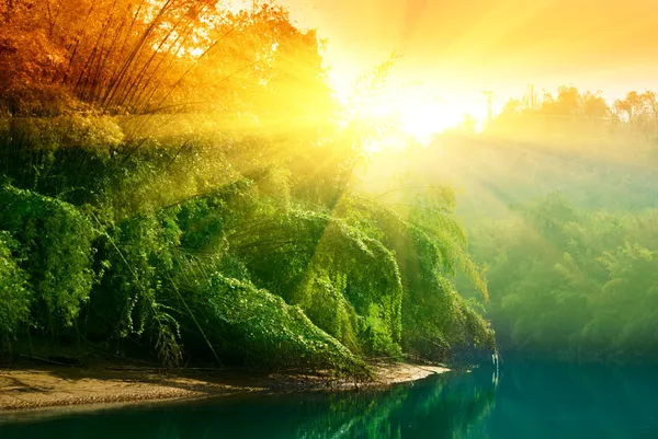 Sunset Jungle Thailand — Stock Photo, Image