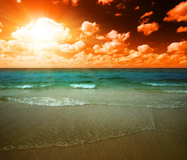 Ωκεανό Ηλιοβασίλεμα Και Τροπικό — Φωτογραφία Αρχείου