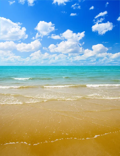 Άμμο και τον ωκεανό — Φωτογραφία Αρχείου