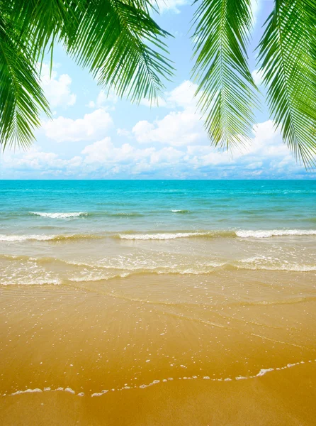 Areia e oceano — Fotografia de Stock