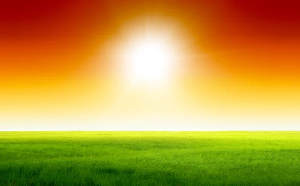 Ідеальне Зелене Поле Небо — стокове фото