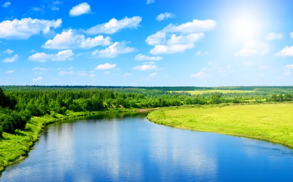 Река Летняя Природа — стоковое фото